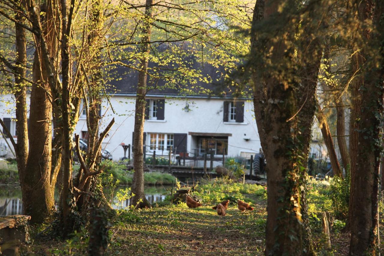 Fleurs De Brenne Gite Neuillé-le-Lierre Extérieur photo