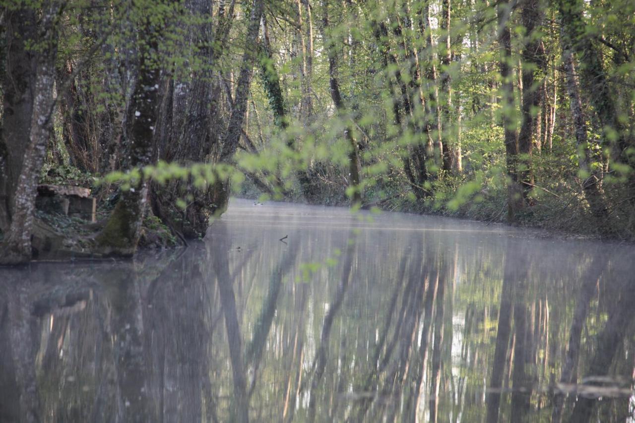 Fleurs De Brenne Gite Neuillé-le-Lierre Extérieur photo